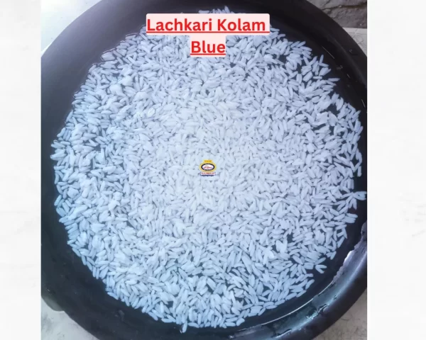 Paarijat Lachkari Kolam Blue (Old) Raw